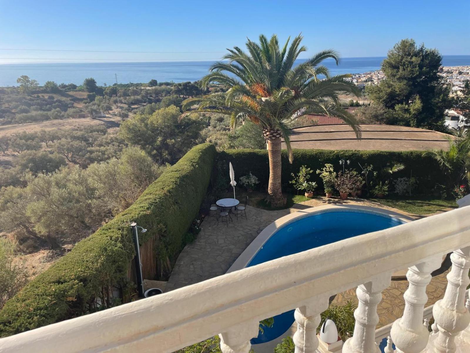 Olivos, * Nerja